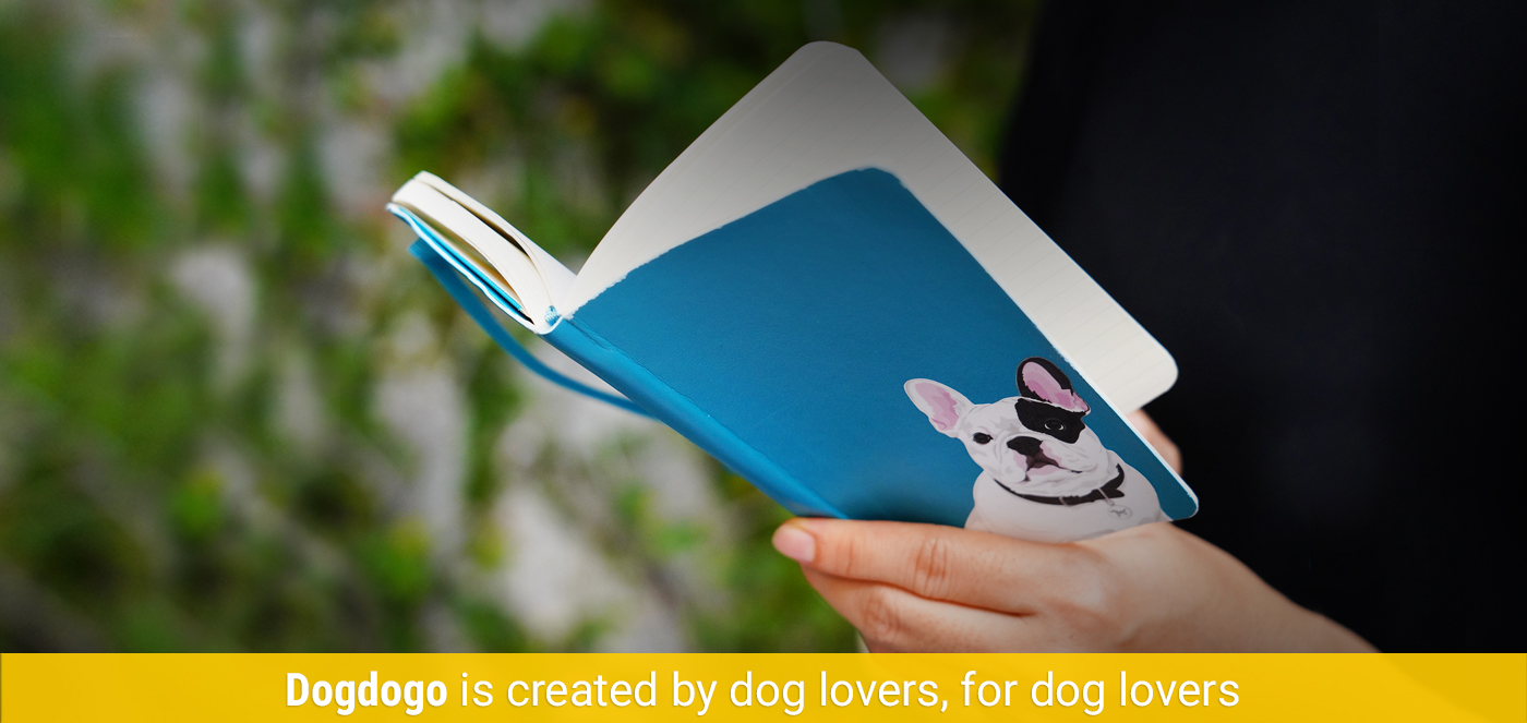 Dogdogo is created by dog lovers, for dog lovers