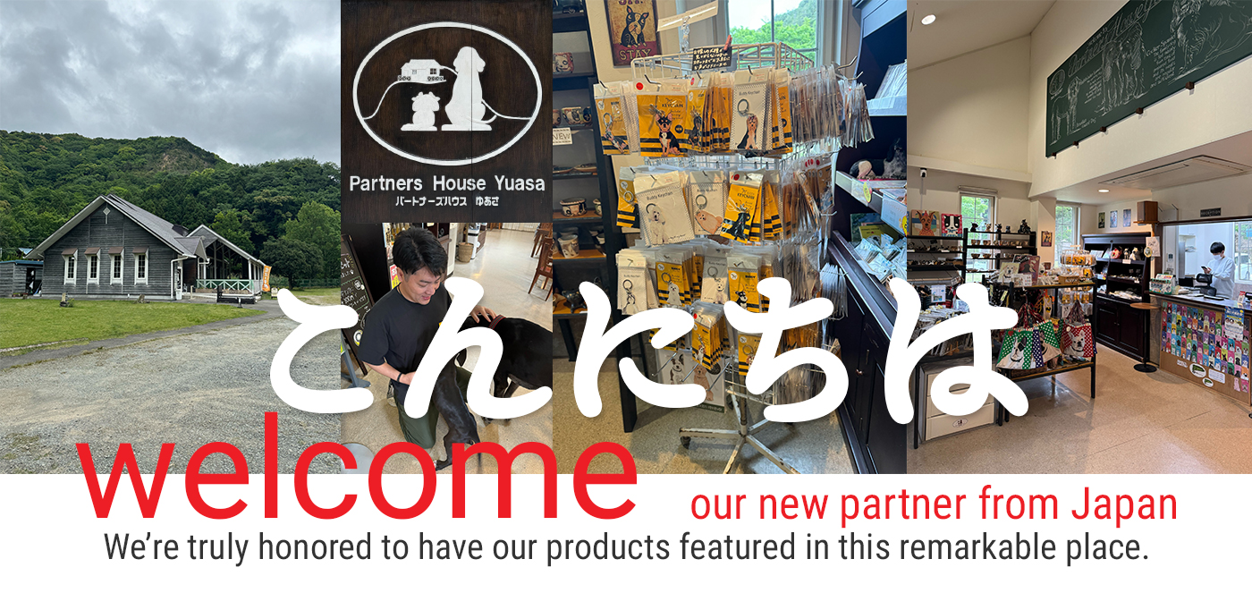 our new partner from Japan