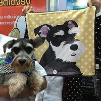 Schnauzer