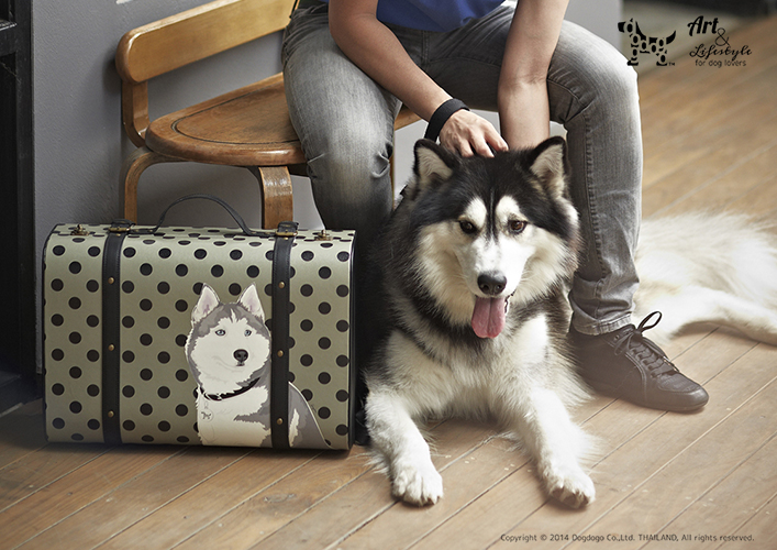 Dogdogo Bag