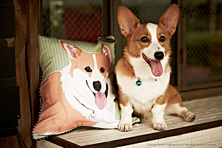 Dogdogo Candy Pillow