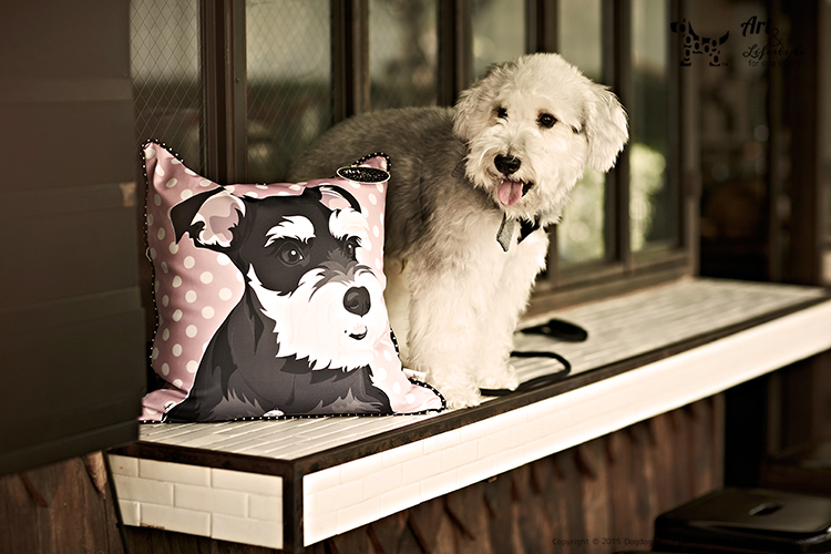 Dogdogo Candy Pillow