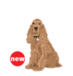 English Cocker Spaniel